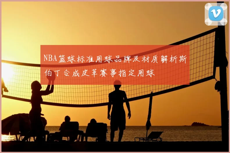 NBA篮球标准用球品牌及材质解析斯伯丁合成皮革赛事指定用球