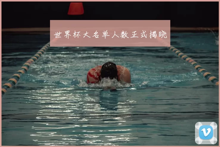 世界杯大名单人数正式揭晓