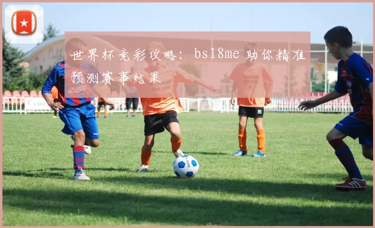世界杯竞彩攻略：bs18me 助你精准预测赛事结果