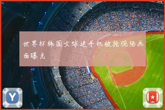 世界杯韩国女球迷手机被抢现场画面曝光