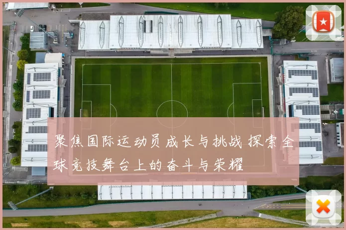 聚焦国际运动员成长与挑战 探索全球竞技舞台上的奋斗与荣耀