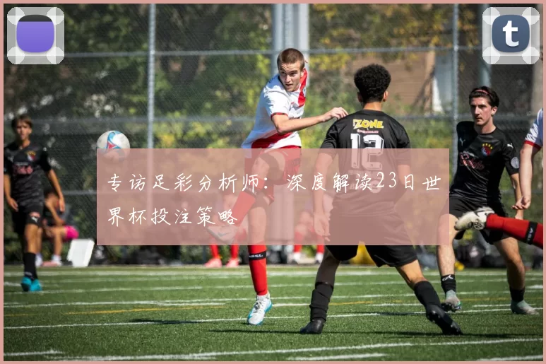 专访足彩分析师:深度解读23日世界杯投注策略