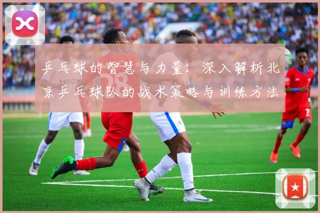 乒乓球的智慧与力量：深入解析北京乒乓球队的战术策略与训练方法