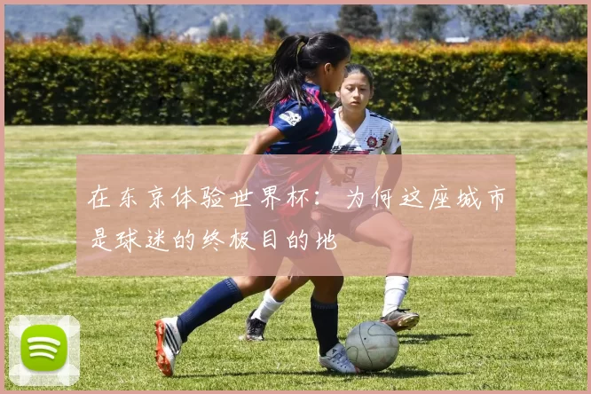 在东京体验世界杯:为何这座城市是球迷的终极目的地