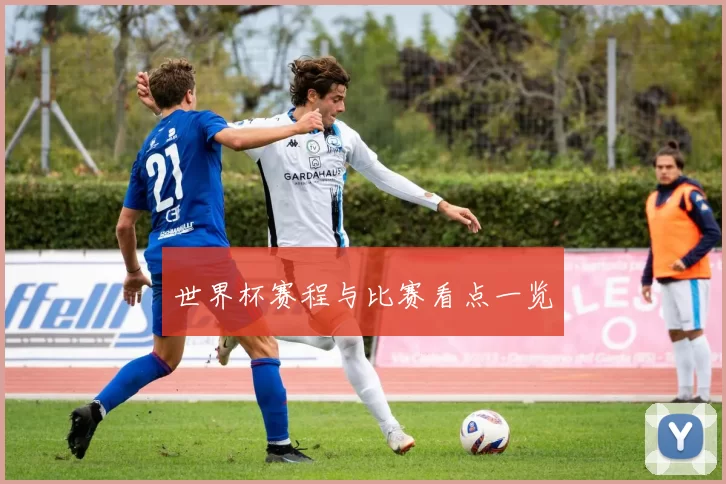 世界杯赛程与比赛看点一览