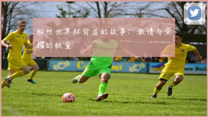 粉丝世界杯背后的故事:激情与荣耀的较量