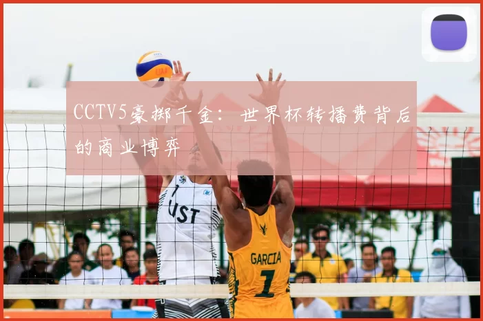 CCTV5豪掷千金:世界杯转播费背后的商业博弈
