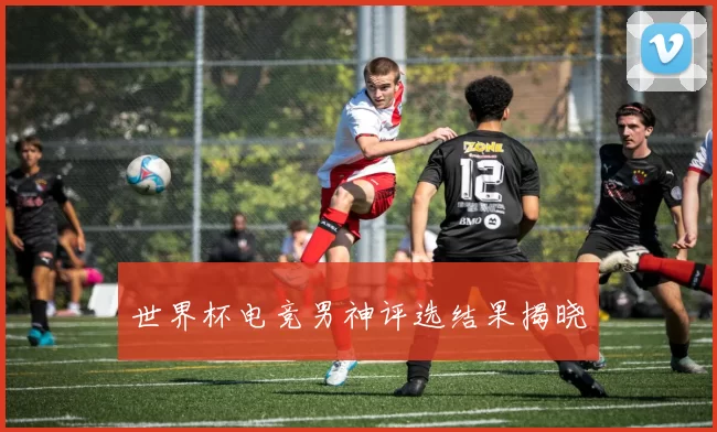 世界杯电竞男神评选结果揭晓