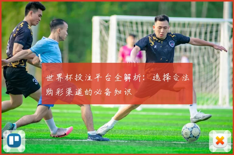 世界杯投注平台全解析：选择合法购彩渠道的必备知识