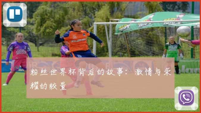 粉丝世界杯背后的故事:激情与荣耀的较量