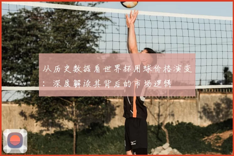 从历史数据看世界杯用球价格演变：深度解读其背后的市场逻辑